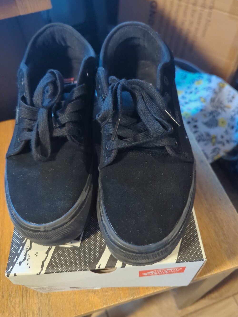 Universal Black Canvas Lace-Up Skate Shoes